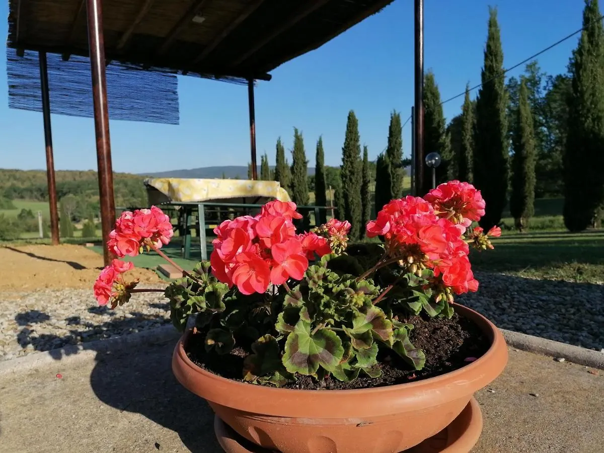 Apartment San Fedele Alloggi Siena Italy